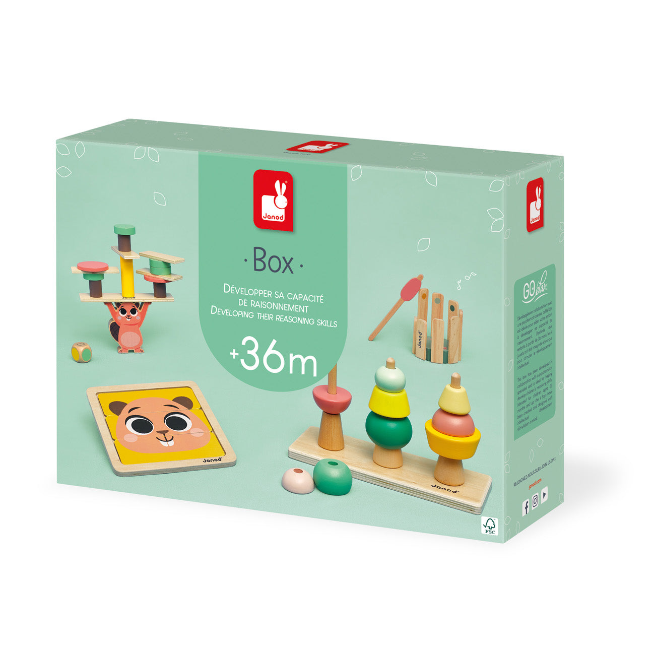 Janod - Box 36 maanden ontwikkeling redeneervaardigheden