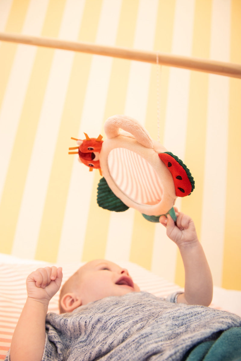 Lilliputiens - Ontdekkingsspiegel Jack