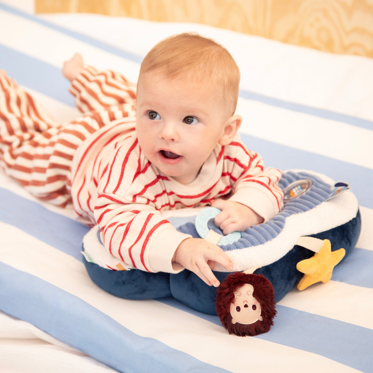 Lilliputiens - Ontdekkingskussen Jules