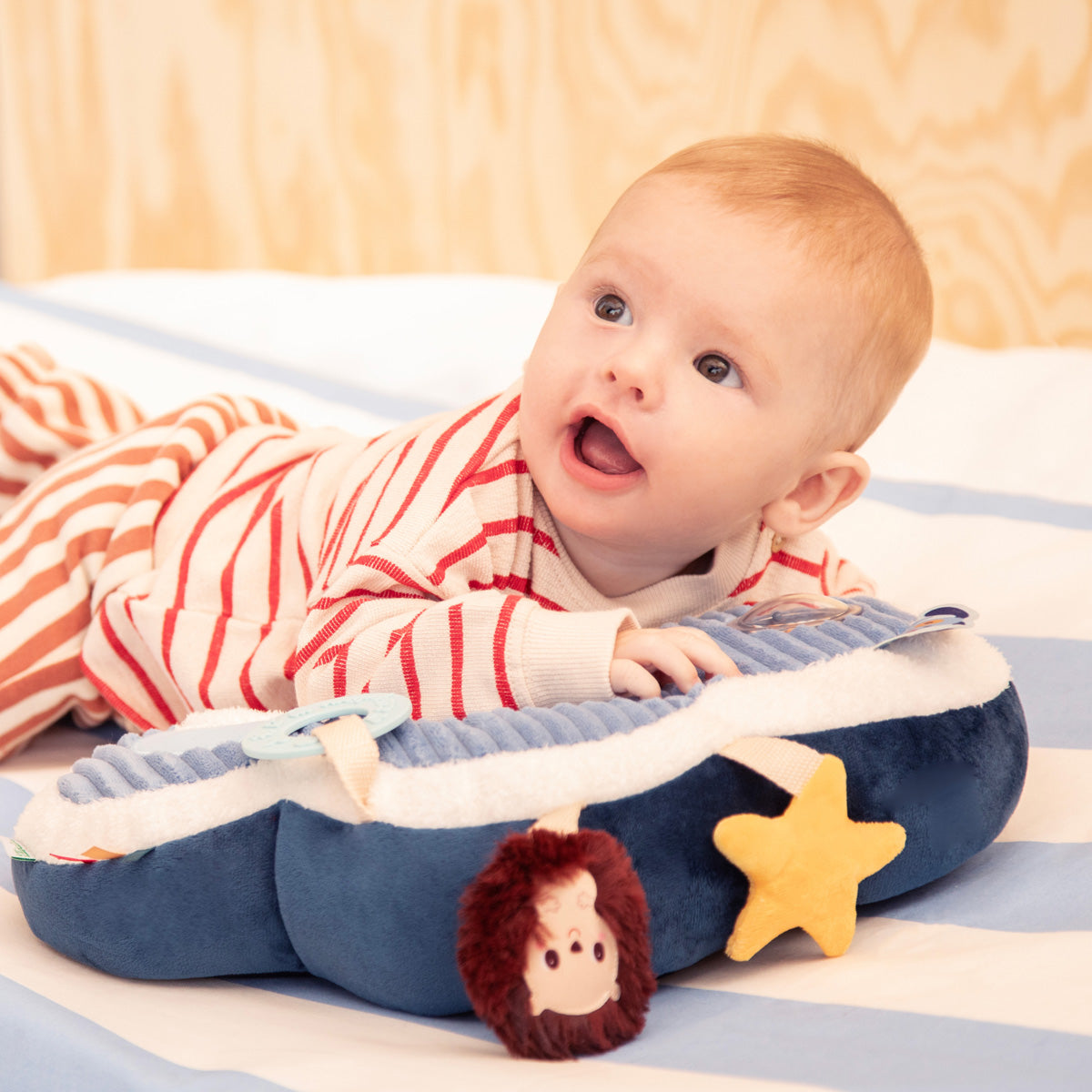 Lilliputiens - Ontdekkingskussen Jules