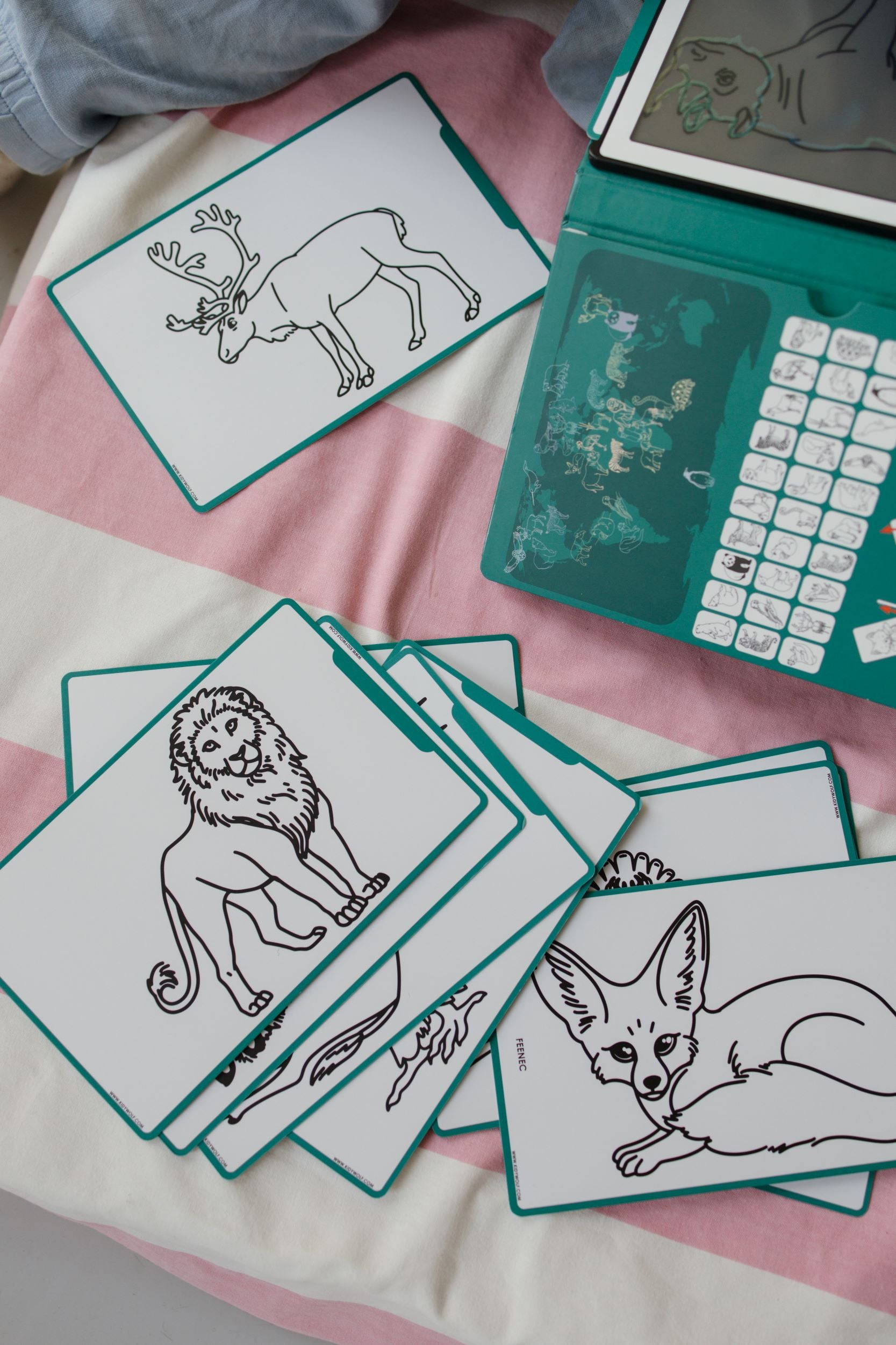 Kidywolf - Draw Mini Dieren over de hele wereld