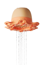 OPPI® | FLOT - Tako