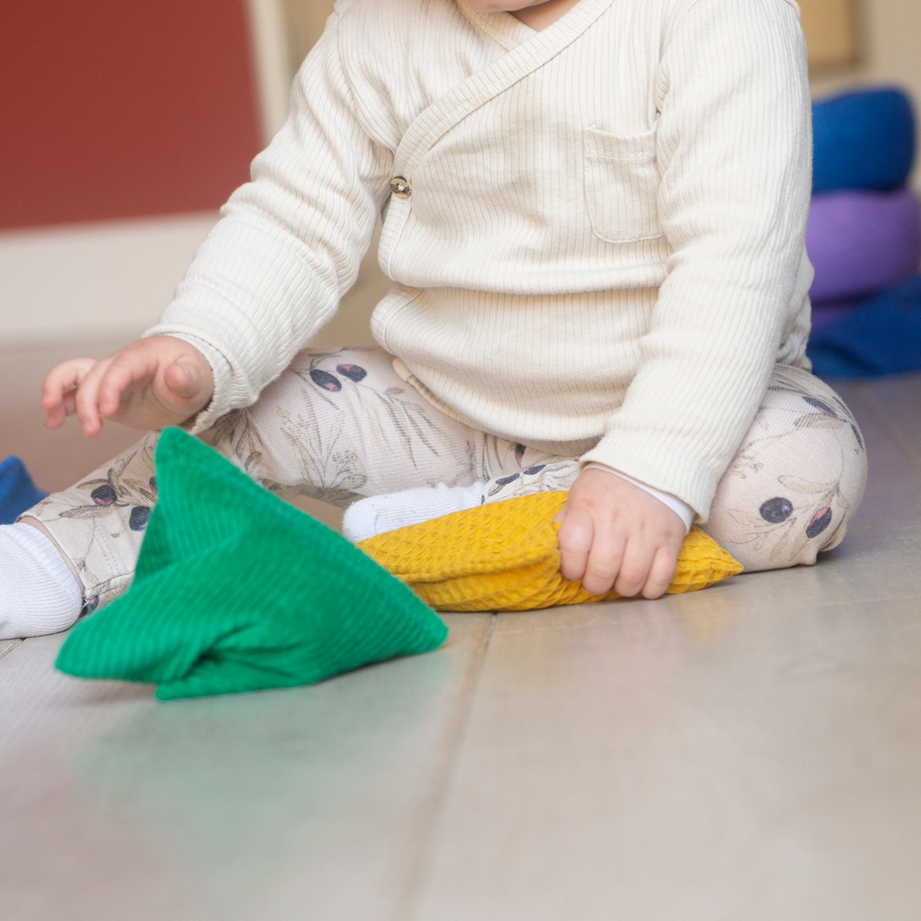 Little Botanic Label - Regenboog pittenzakjes (6 st)