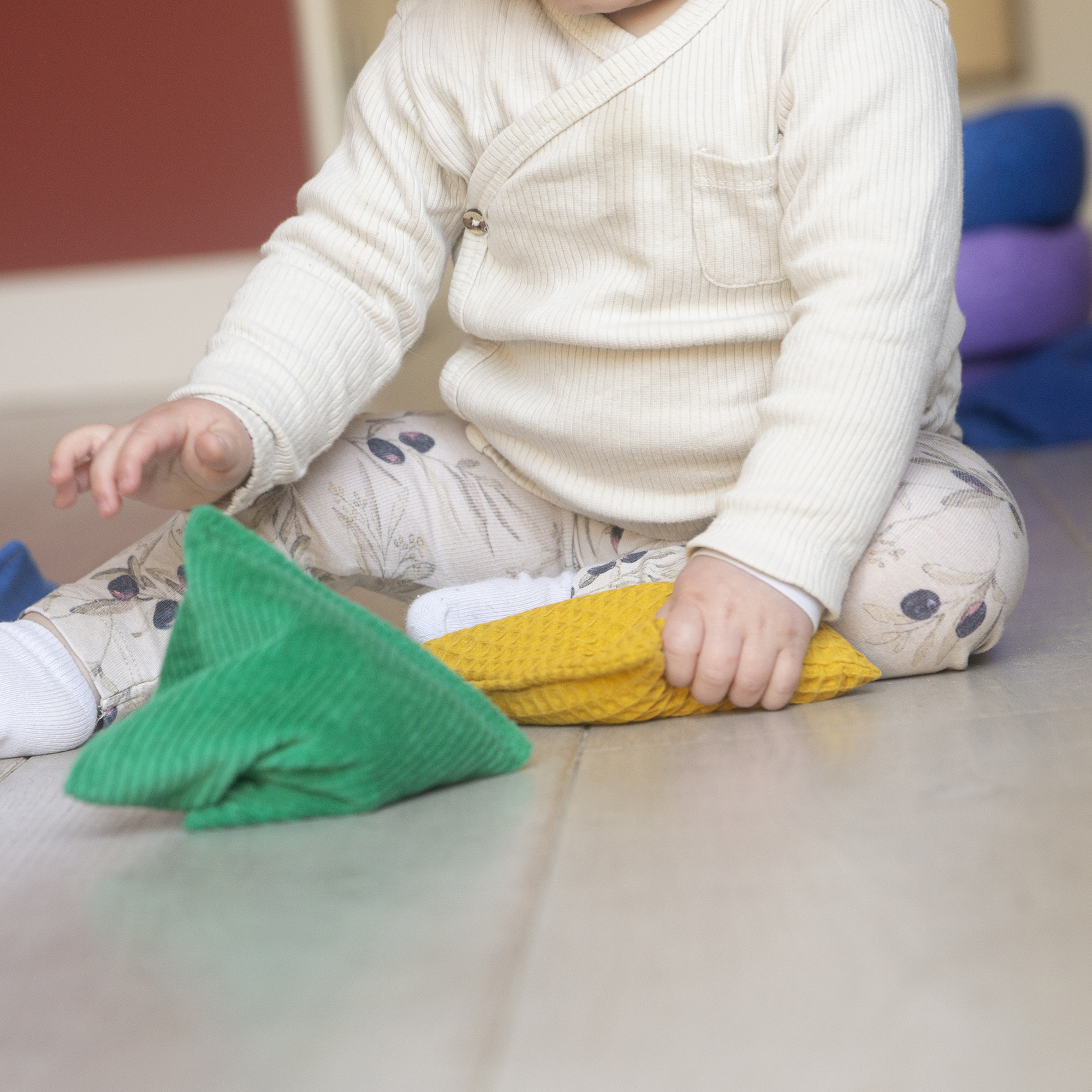 Little Botanic Label - Regenboog pittenzakjes (6 st)