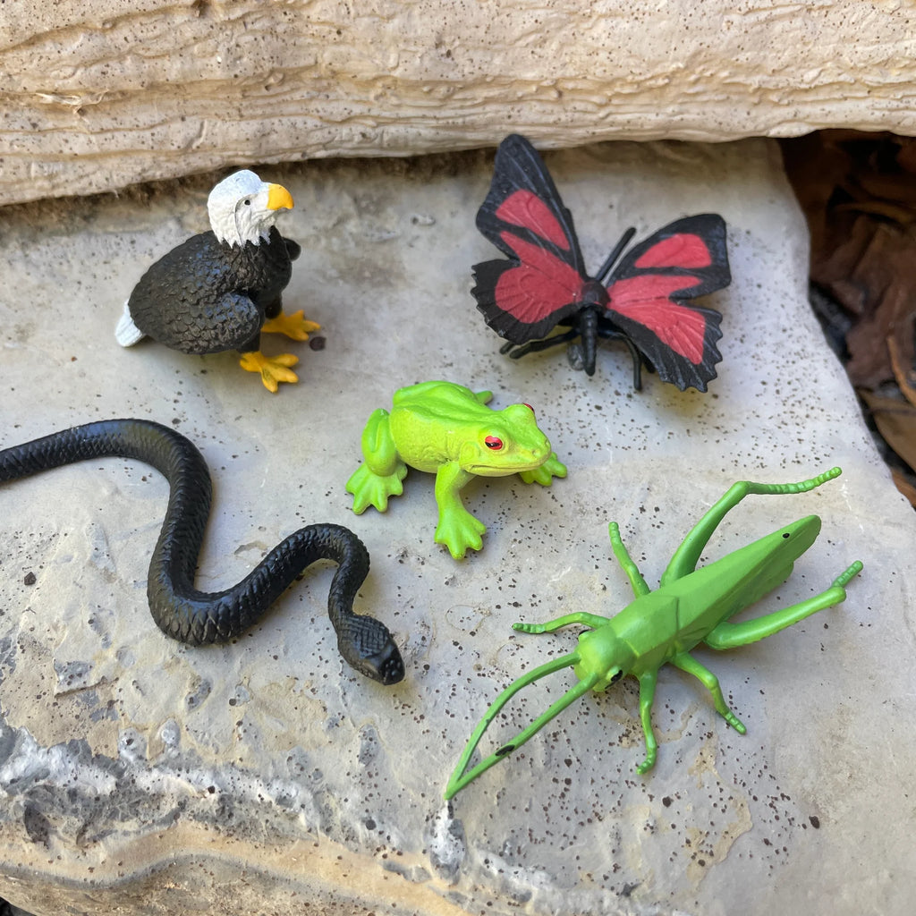 Safari Ltd. - TOOBS In het Bos