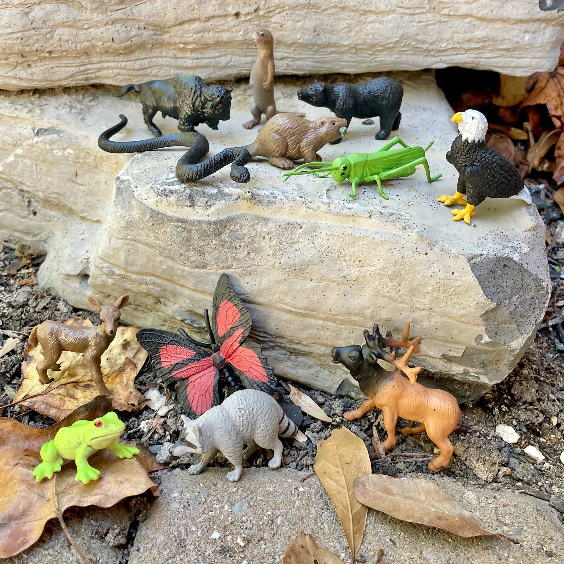 Safari Ltd. - TOOBS In het Bos